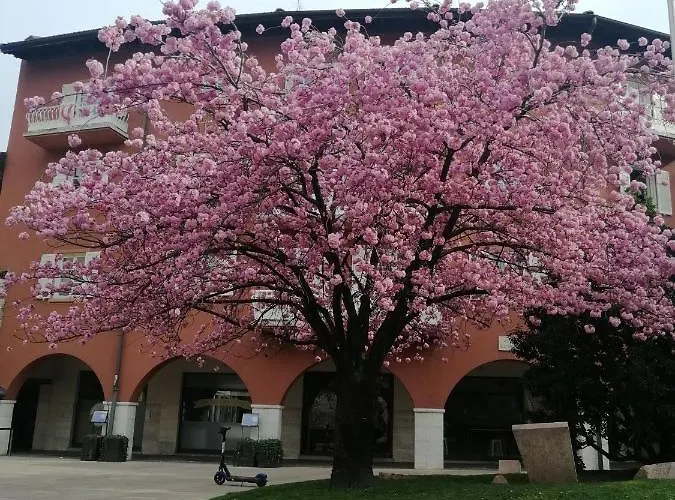 Bed & Breakfast Dante And 2*